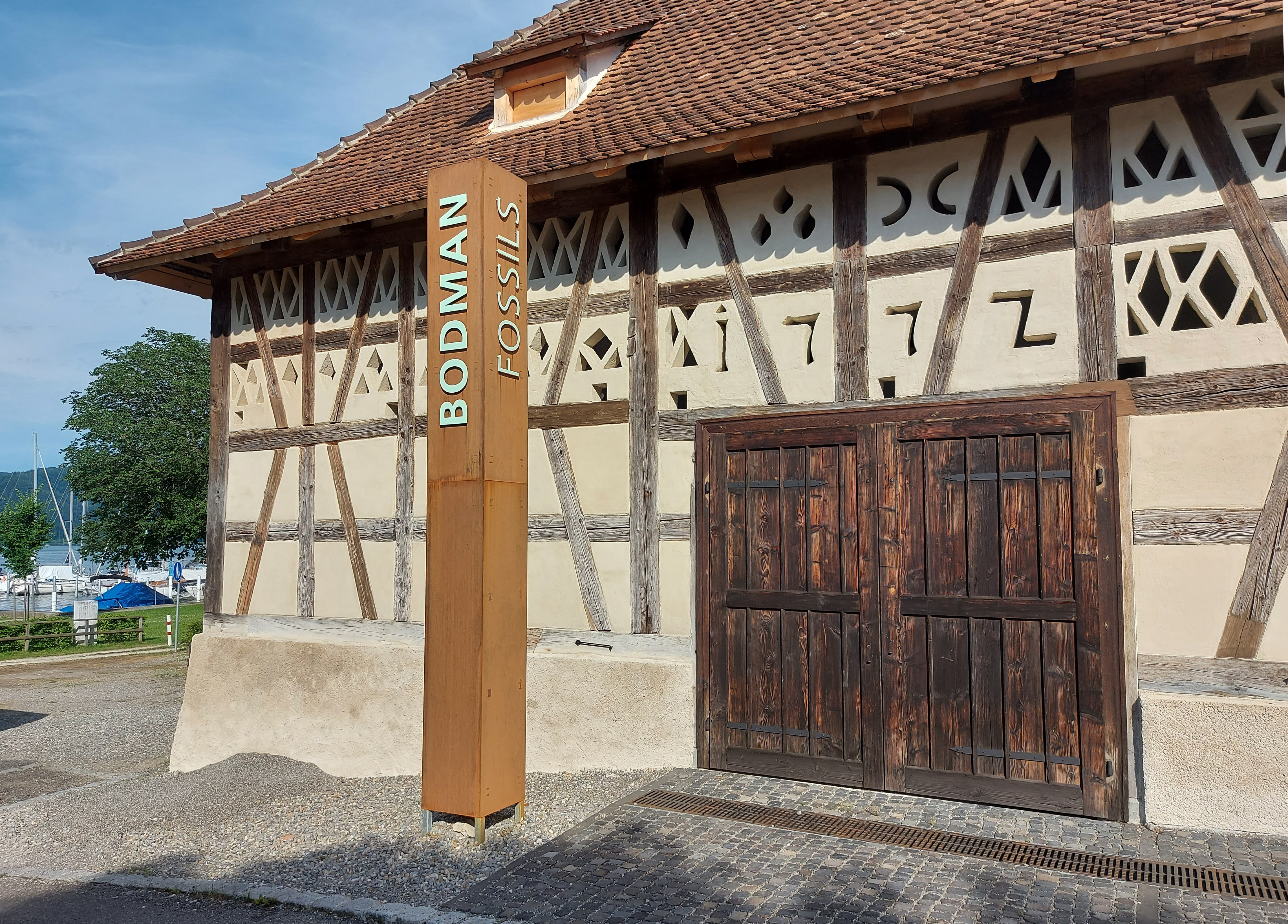 Urweltmuseum Bodman Ausstellung